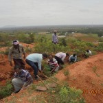 Suzlon Team involved in Plantation